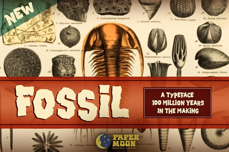 Fossil