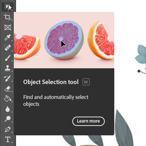 Object selection tool