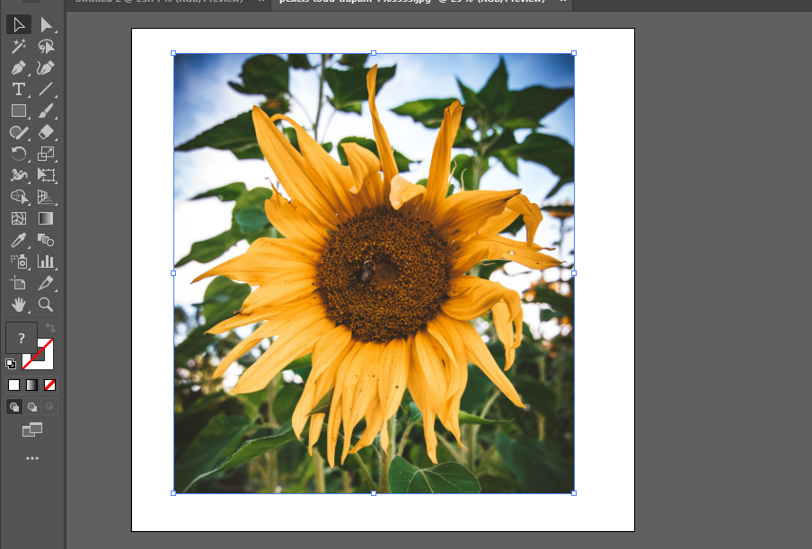 How To Trace An Image In Adobe Illustrator Vectorize An Image How To Trace An Image In Adobe Illustrator Vectorize An Image