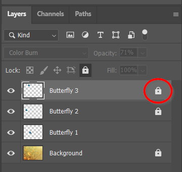 The padlock icon that indicates the layer is locked
