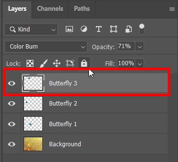 The selected layer that will be locked