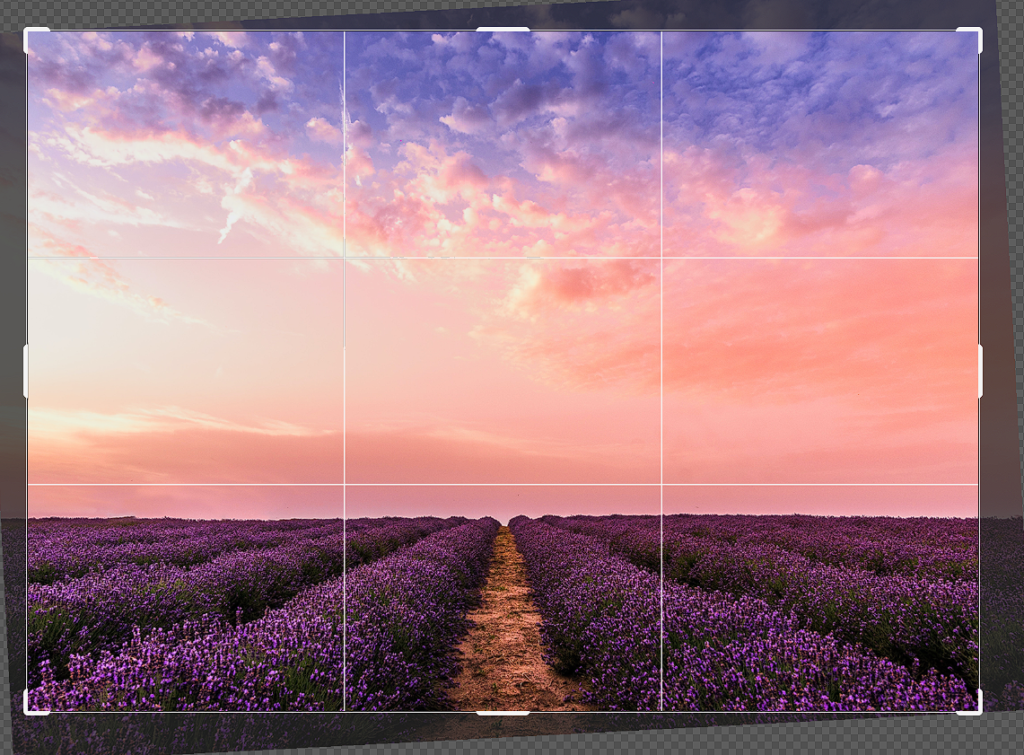 Cropped image that has been straightened by Photoshop