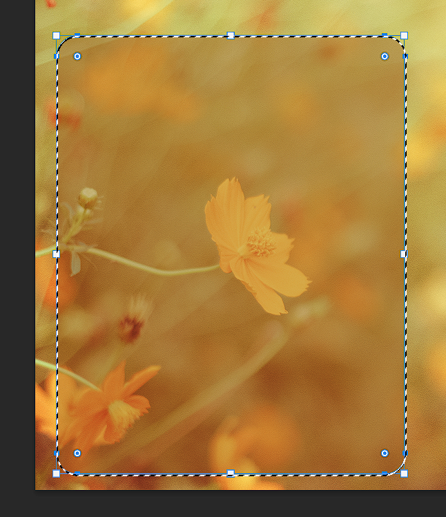 Rounded rectangle will reduced opacity