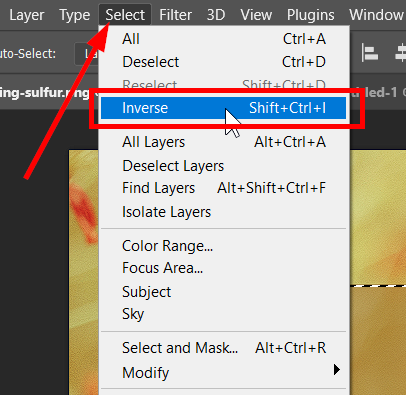 Select > Inverse