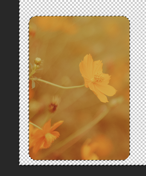Photo with rounded corners