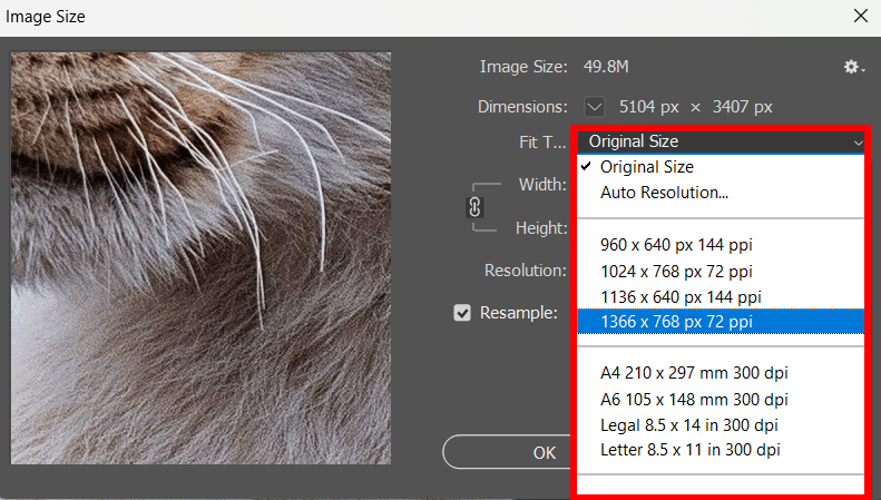 Image size options available via the drop down