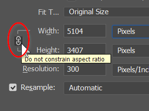 Chain link icon that preserves the aspect ratio of the image