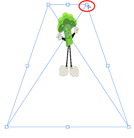 Changing perspective of the vector