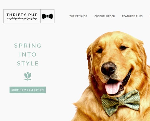 thrifty pup online startup website