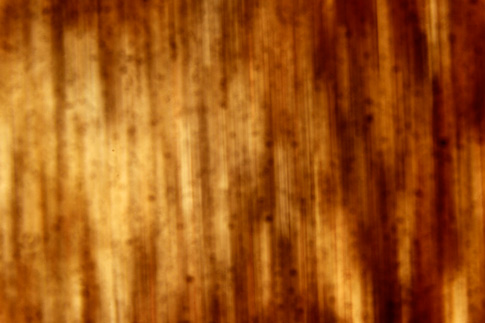 Abstract Vertical Streaks Texture 1
