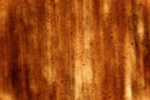 Abstract Vertical Streaks Texture 4