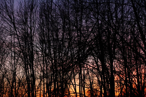 Barren Branch Sunset 4