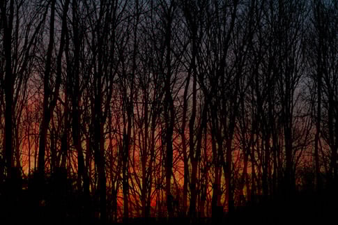Barren Branch Sunset 5