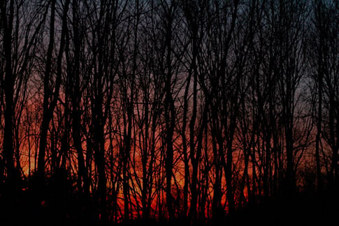 Barren Branch Sunset 5