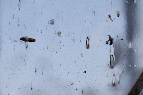 Free Texture 2