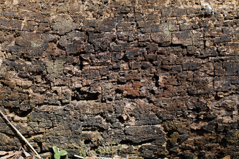 Free Texture 4