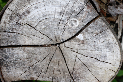 Free Texture 3