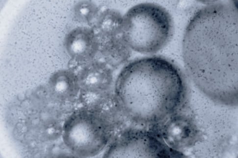 Free Texture 4