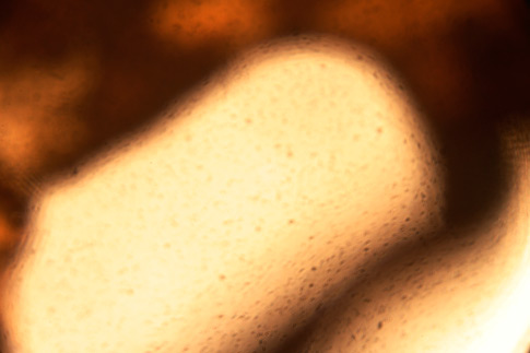 Free Texture 2