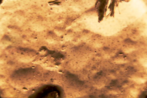 Free Texture 3