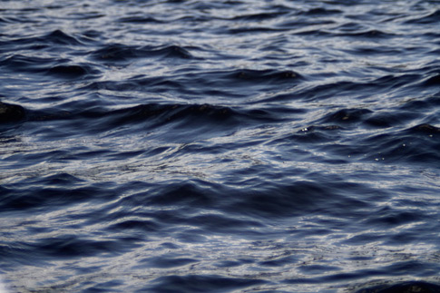 Free Texture 2