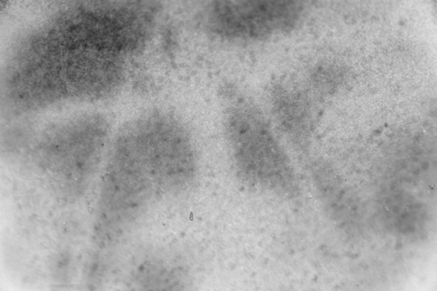 Grayscale Haze Texture 2