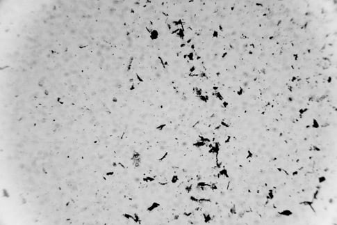 Grayscale Microscopic Grit 2
