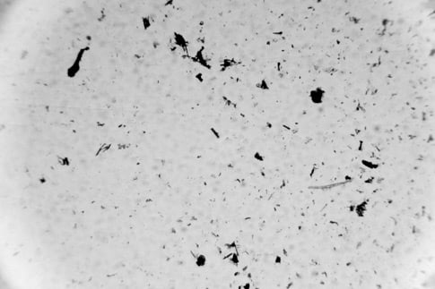 Grayscale Microscopic Grit 3