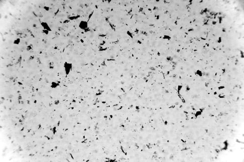 Grayscale Microscopic Grit 4