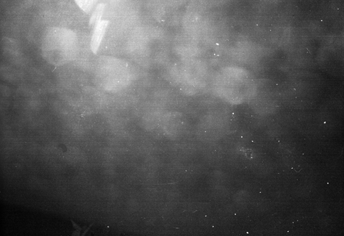 Grayscale Noise Texture 2