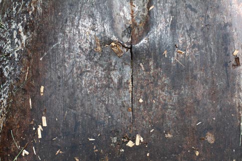 Old Rust Shovel Texture 3