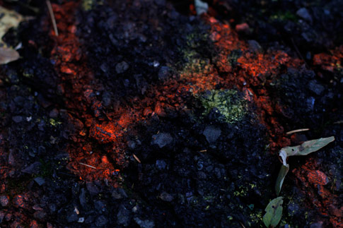 Painted Asphalt Grunge Texture 4