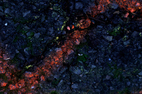 Painted Asphalt Grunge Texture 5