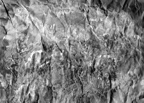 Black & White Stained and Bleached Texture 1