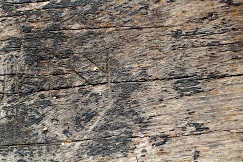 Weathered Picnic Table 2