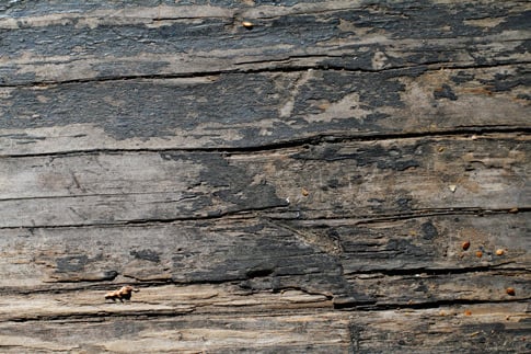 Weathered Picnic Table 5