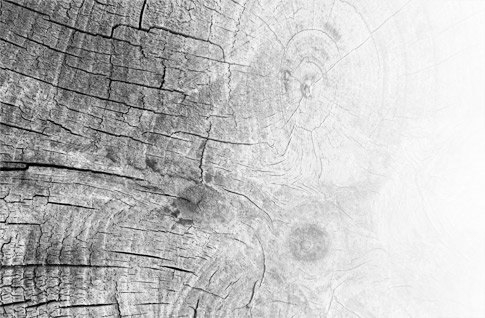 Wood Grain Photoshop Brushes Preview 3