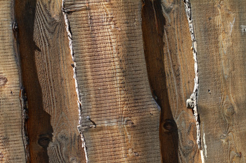 Wood Texture 1
