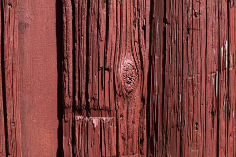 Wood Texture 4