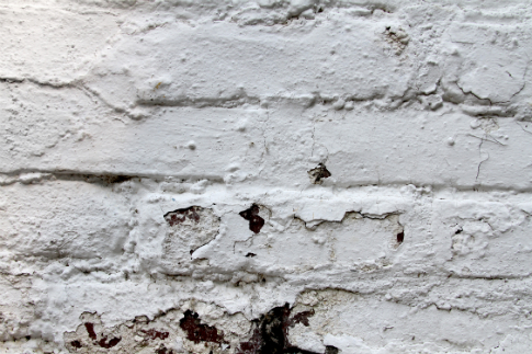 Free Texture Tuesday: White Bricks 3